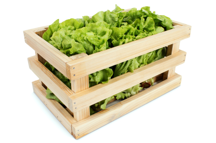 Lettuce in crate